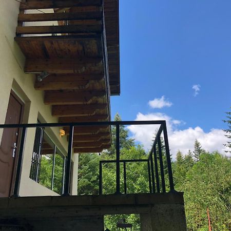 Вилла Vila Sinaia Private Экстерьер фото
