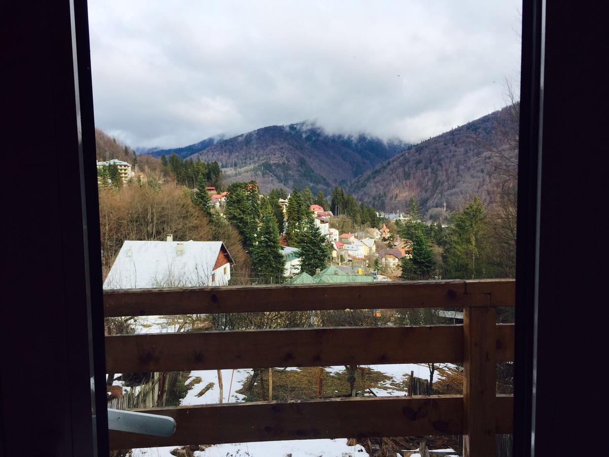 Вилла Vila Sinaia Private Экстерьер фото