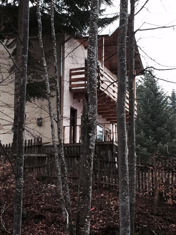 Вилла Vila Sinaia Private Экстерьер фото