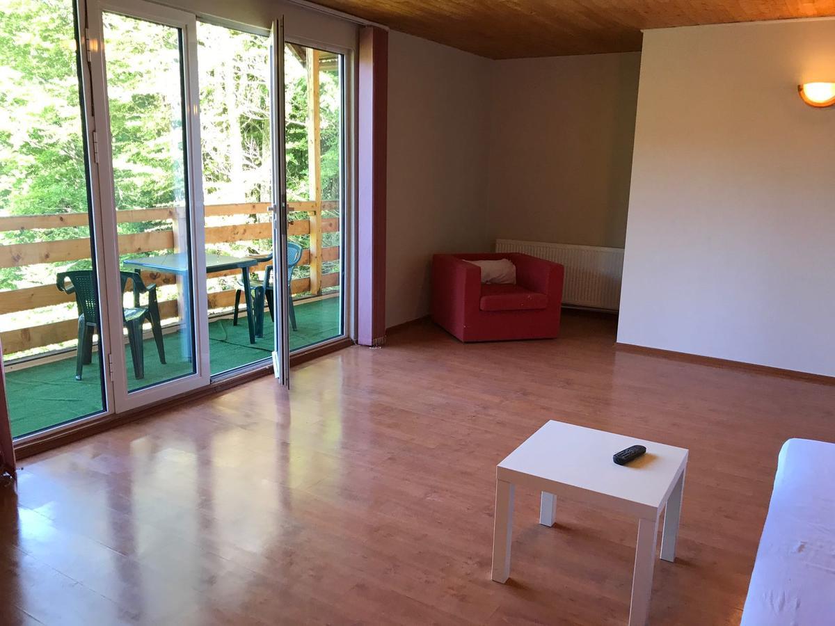 Вилла Vila Sinaia Private Экстерьер фото