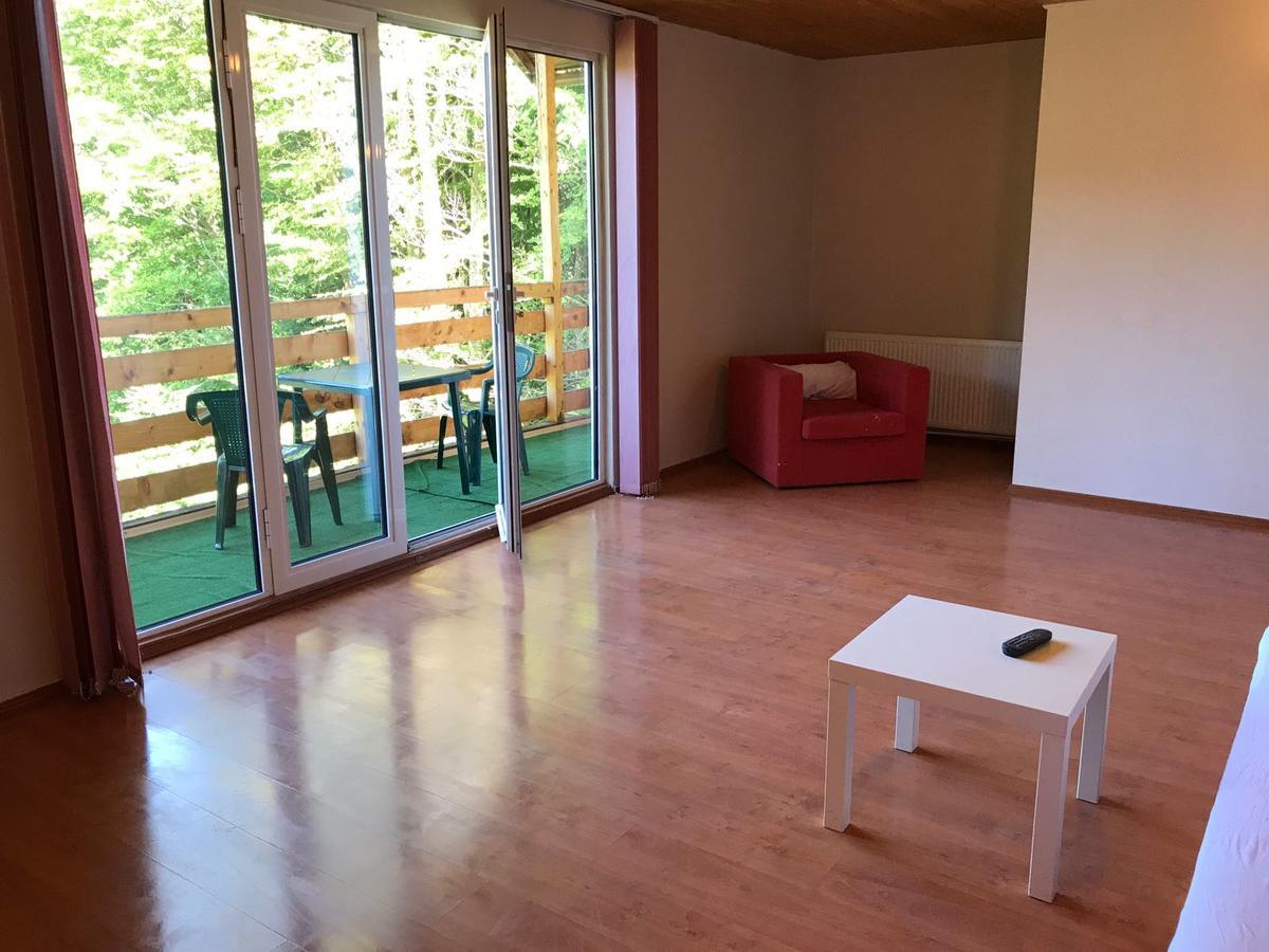 Вилла Vila Sinaia Private Экстерьер фото
