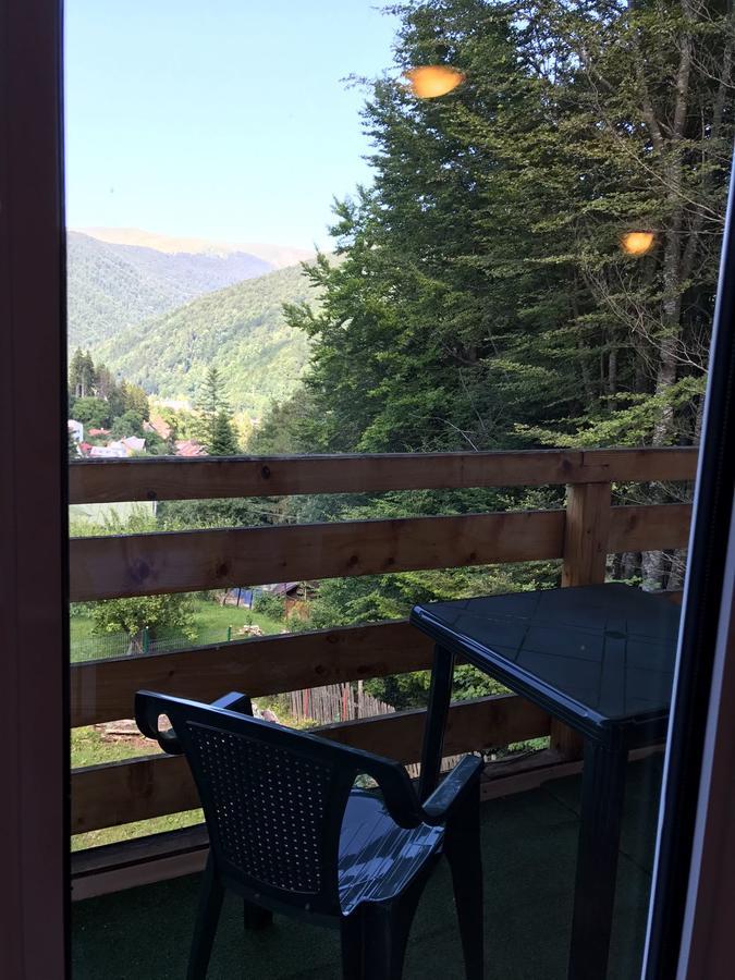 Вилла Vila Sinaia Private Экстерьер фото