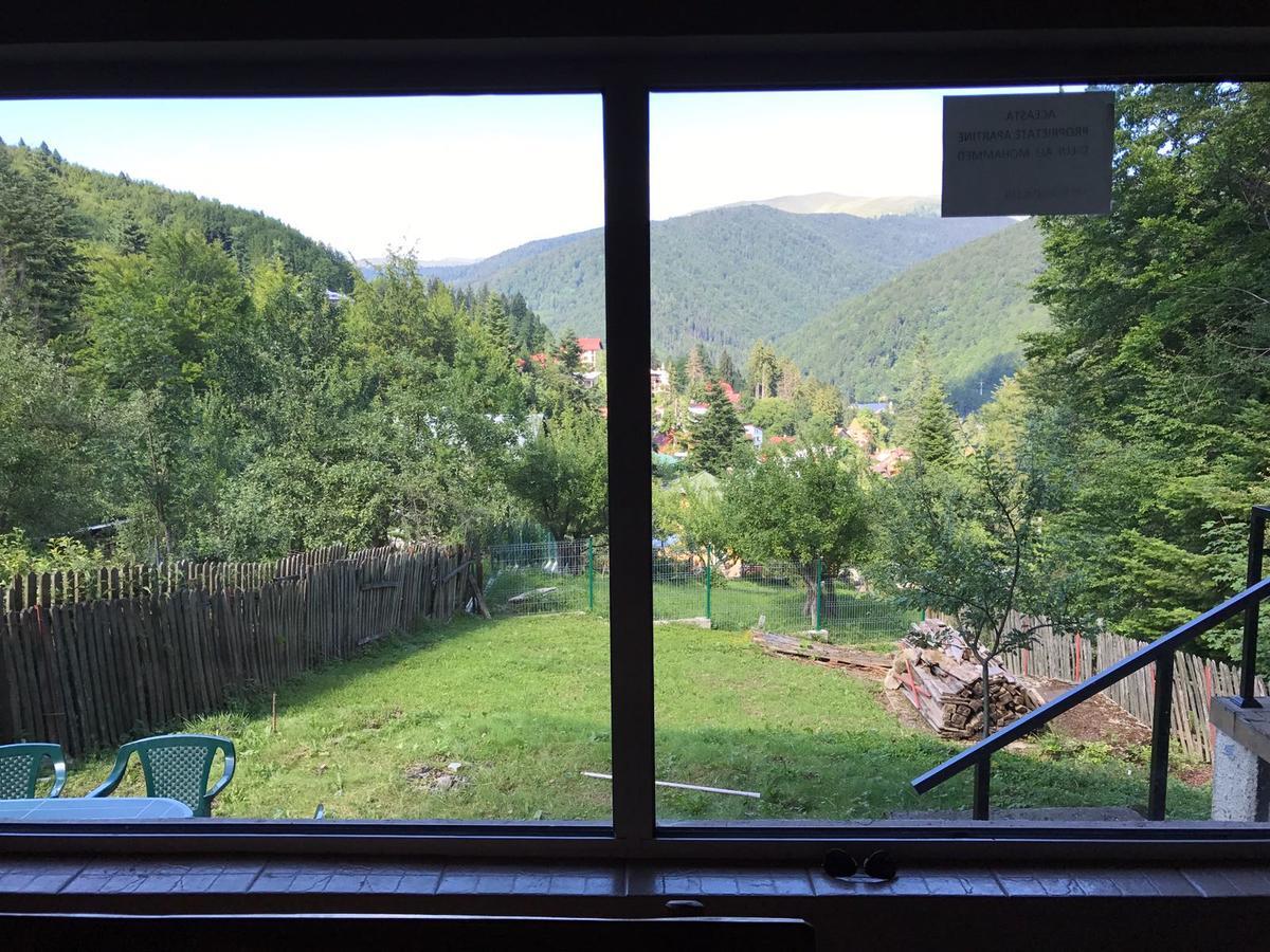 Вилла Vila Sinaia Private Экстерьер фото