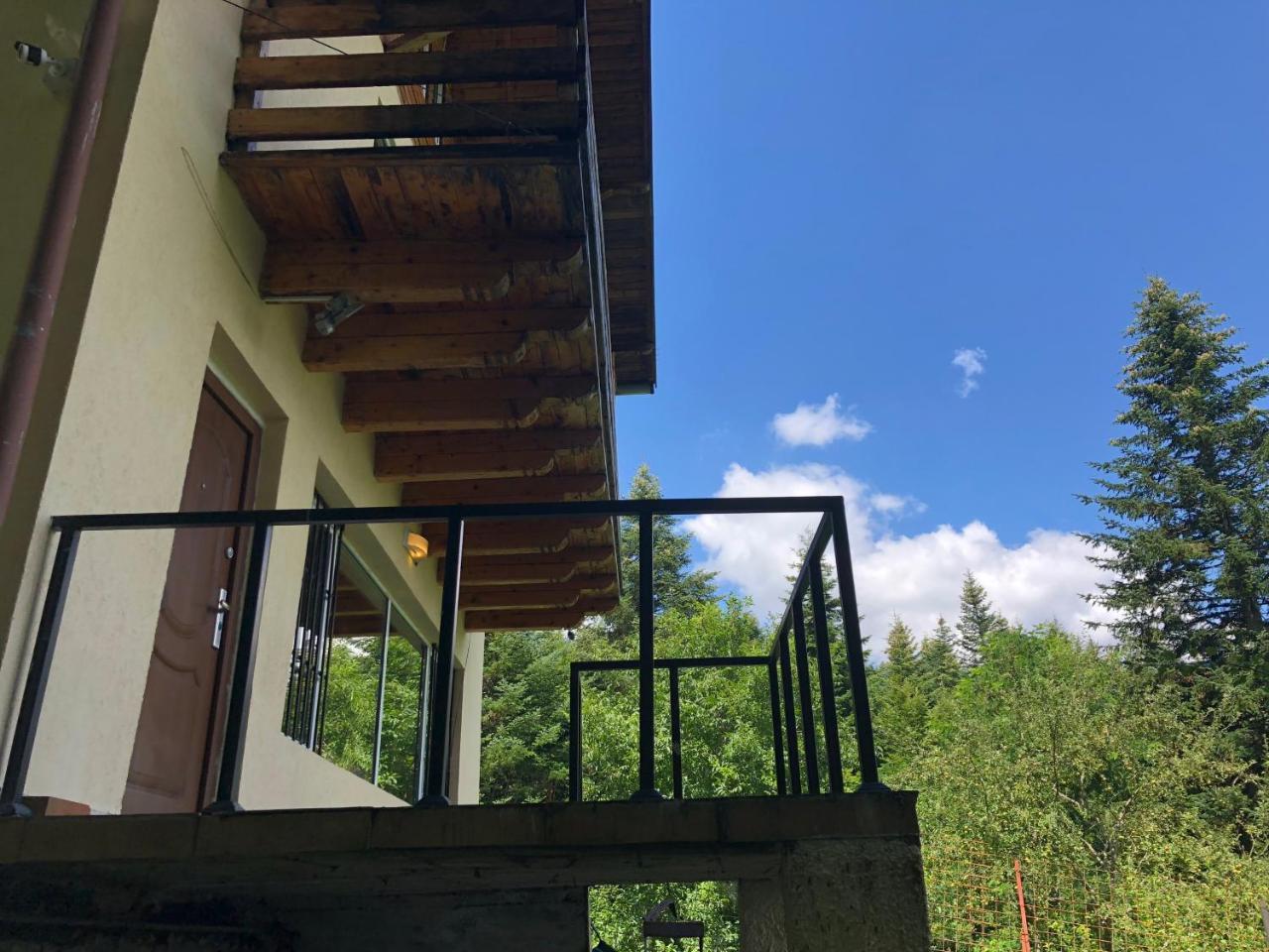 Вилла Vila Sinaia Private Экстерьер фото