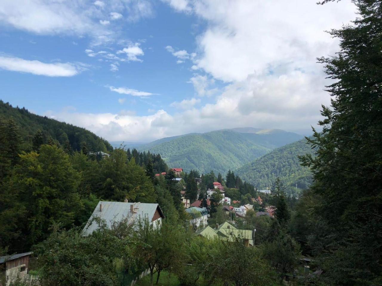Вилла Vila Sinaia Private Экстерьер фото
